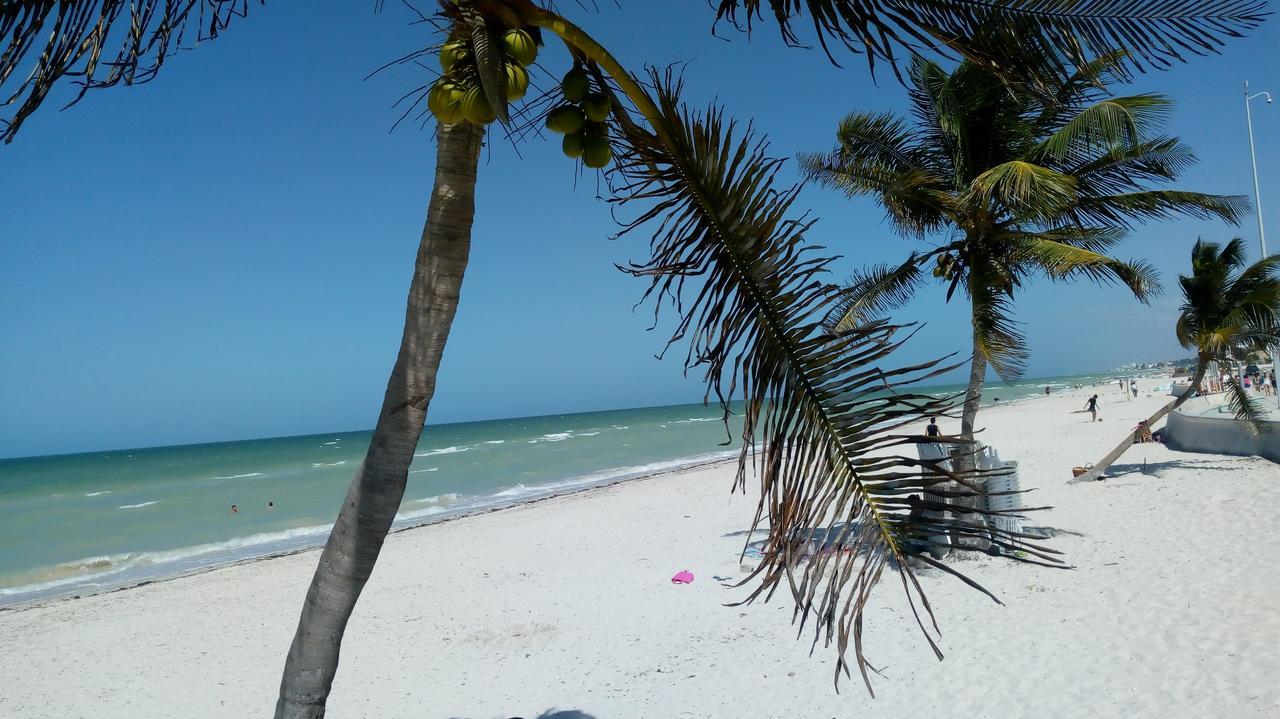 Mayab Suite Progreso  Exterior photo